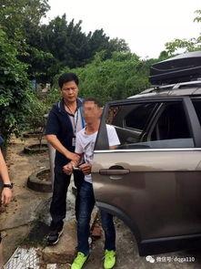 德庆县爆料新闻最新情况,突发事件引发社会关注